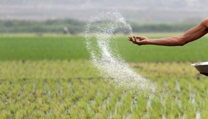 Ex-DA execs&rsquo; bid to dismiss fertilizer scam raps junked