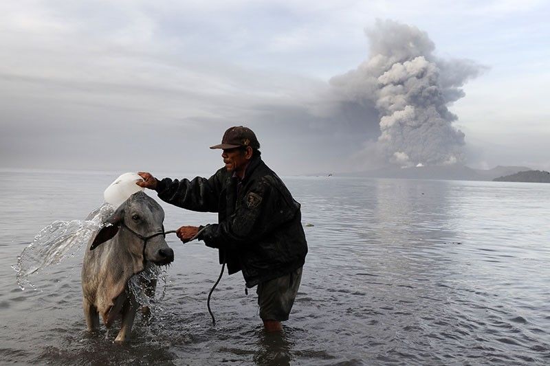 PETA asks for relief items for animals amid Taal eruption