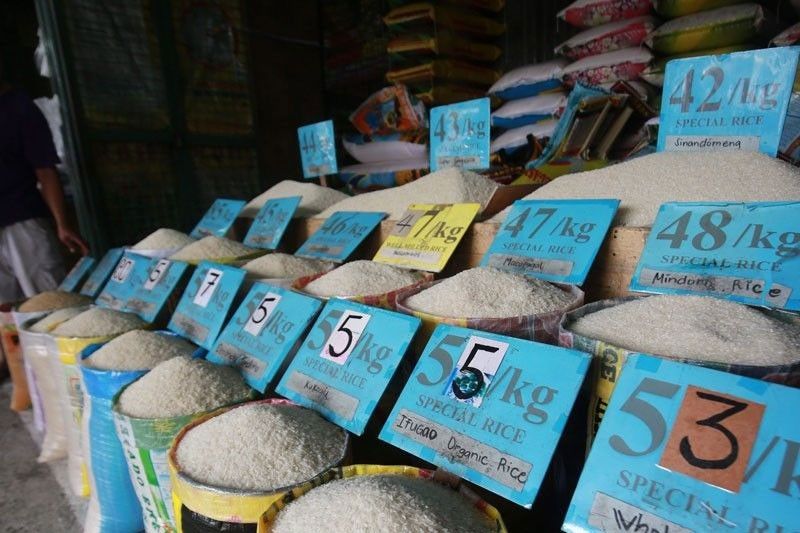 Think tank: Limit on rice imports more damaging to local farmers