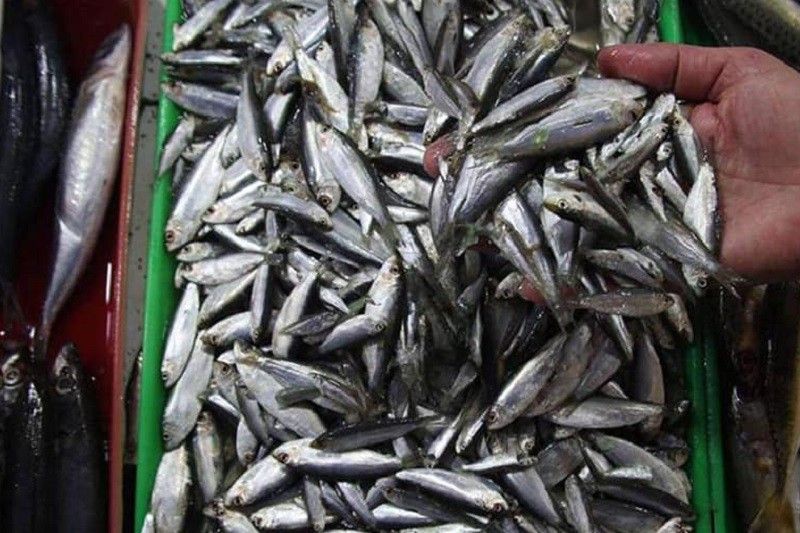 Isda mula Taal Lake at Batangas huwag bilhin, babala ng DOH