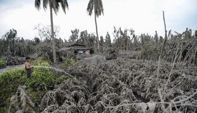 DOH: Prutas, gulay na tinamaan ng Taal ashfall 'ligtas kainin'