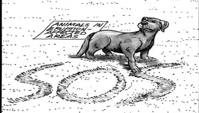EDITORIAL-  Animal rescue