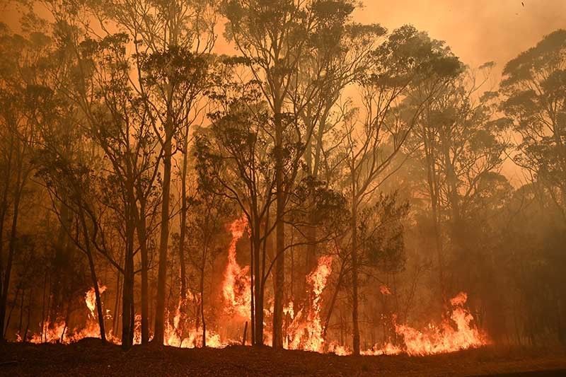 Gov't urged to strengthen climate action, phase out coal to avoid Australia fire crisis