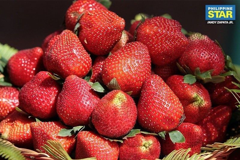 Baguio's Magalong sorry for slip on La Trinidad strawberries