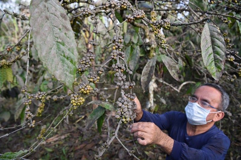 Lost and damaged: Taal Volcano steals livelihoods