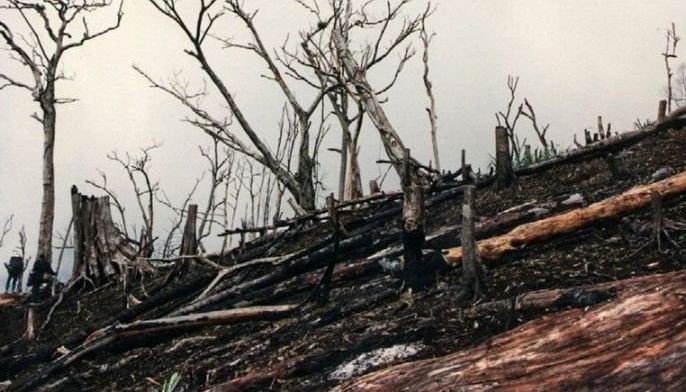Australian bushfires a warning for Philippine to protect climate