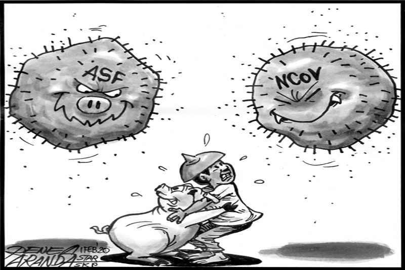 EDITORIAL - The other virus problem