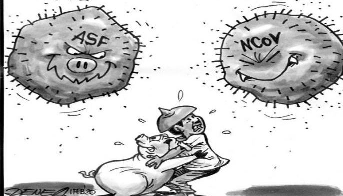EDITORIAL - The other virus problem
