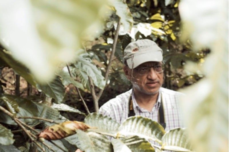 Experts see bright prospects for local Robusta coffee