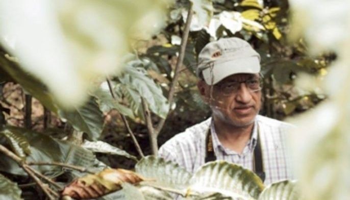 Experts see bright prospects for local Robusta coffee