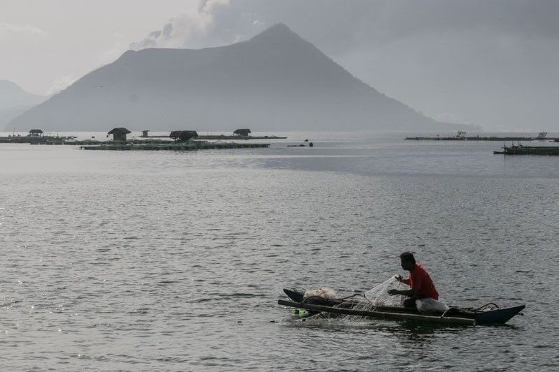 Taal Fishers Seek Window Hours To Harvest Feed Fish Philstar