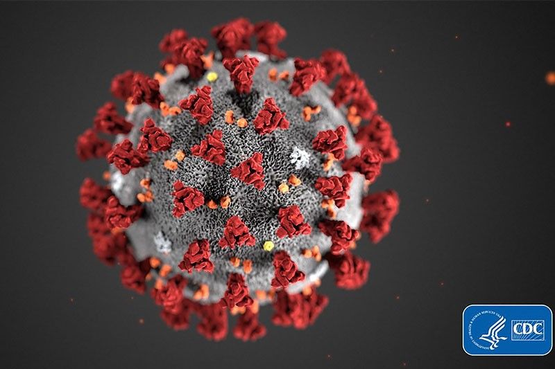 US working with drug firm on new coronavirus treatment