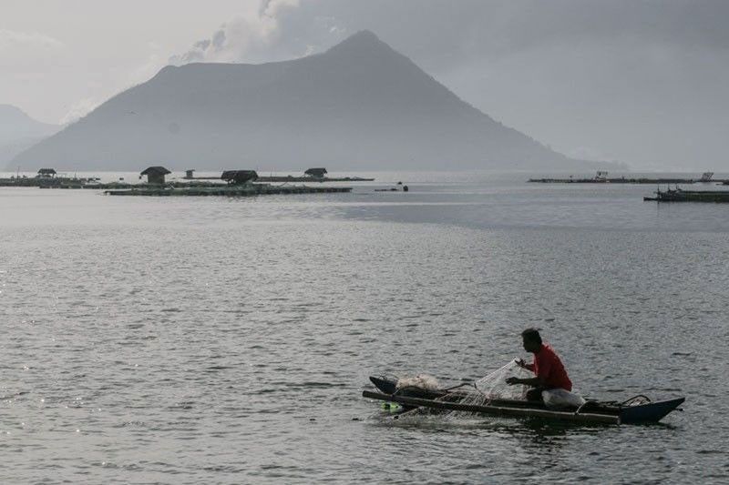 Taal fish feeding resumes as water quality improves