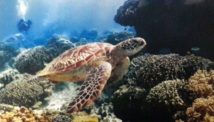 Bucket List Philippines goes sustainable