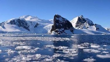 Research shows penguin poo helps keep Antarctica cool