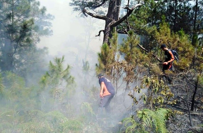Benguetâ��s 150-hectare pine forest razed in 9-day fire