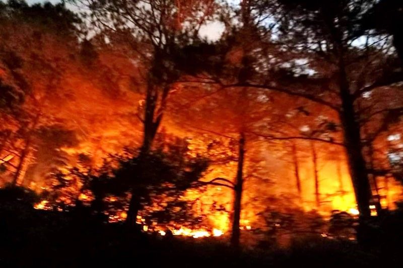 Another forest fire rages in Benguet