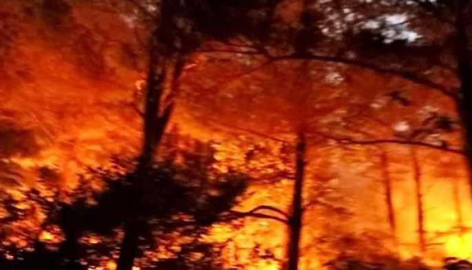 Another forest fire rages in Benguet