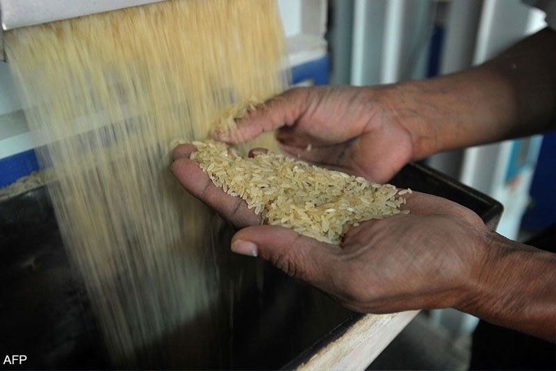 Farmers lose P68 billion from rice tariffication law