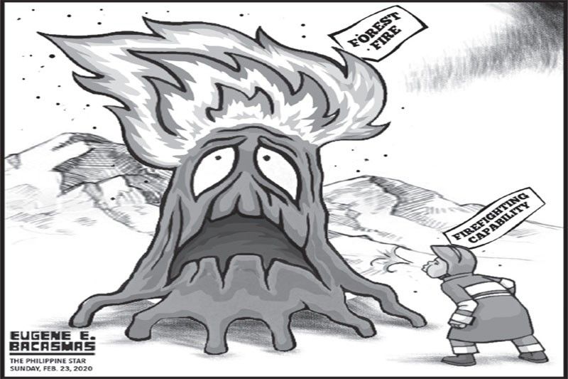 EDITORIAL - Forest fires
