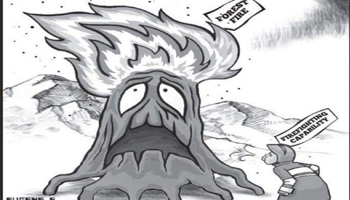 EDITORIAL - Forest fires
