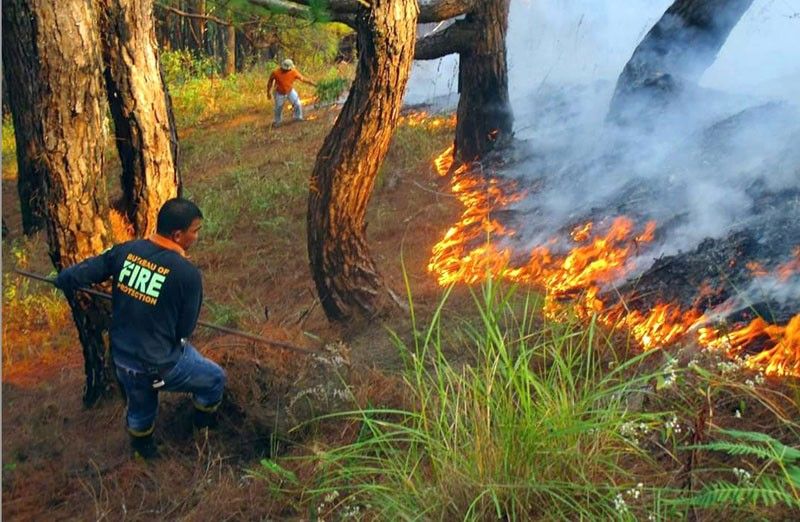 Wildfire destroys 1,000 hectares of Benguet forest