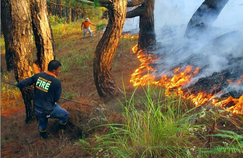 Fire hits Benguet forest days before Fire Prevention Month