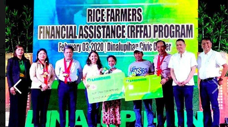 Cash aid to rice farmers