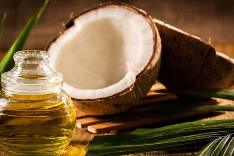 DOH susubukan ang virgin coconut oil vs virus