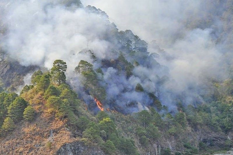 Nasa 50 ektarya ng kagubatan ‘nakalbo’ ng forest fire Pilipino Star
