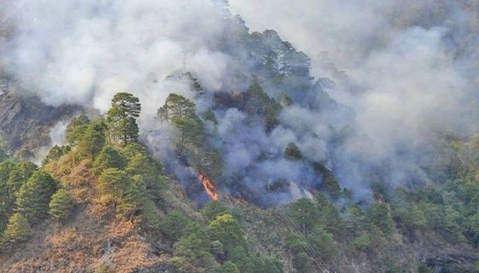Nasa 50 ektarya ng kagubatan &lsquo;nakalbo&rsquo; ng forest fire