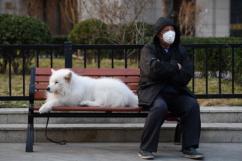 Pet dog quarantined in Hong Kong with low levels of coronavirus