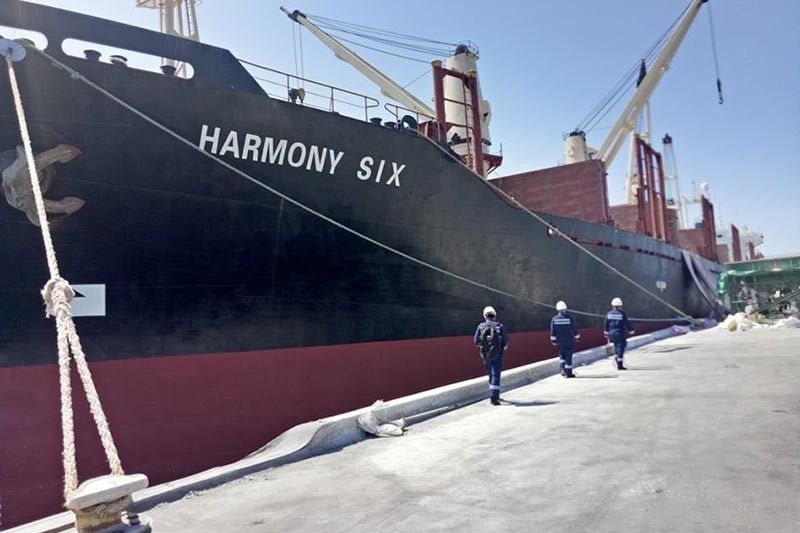 Cargo vessel from virus-hit China under probe for 'misrepresentation'