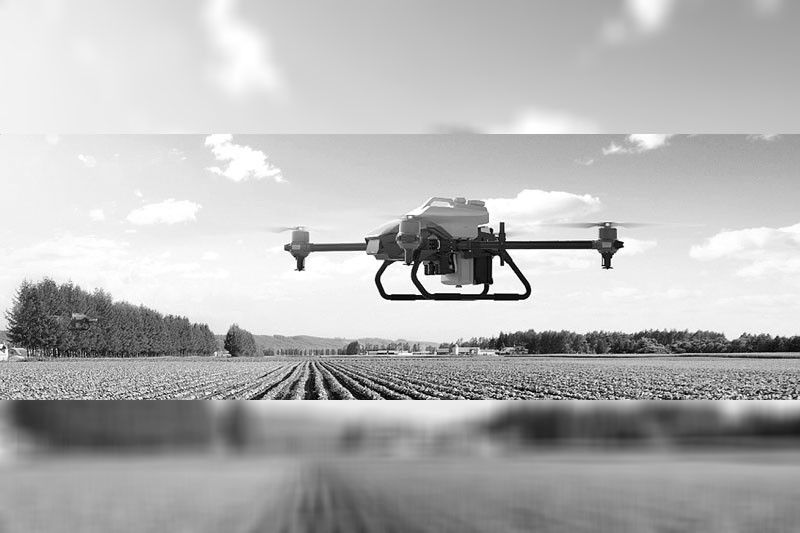 Bayer, XAG to help farmers use AI
