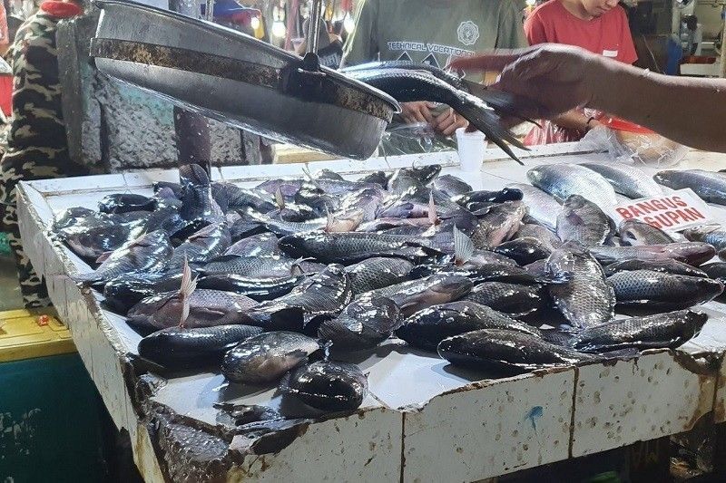 Model crop, tilapia farms to be set up in Lanao del Sur