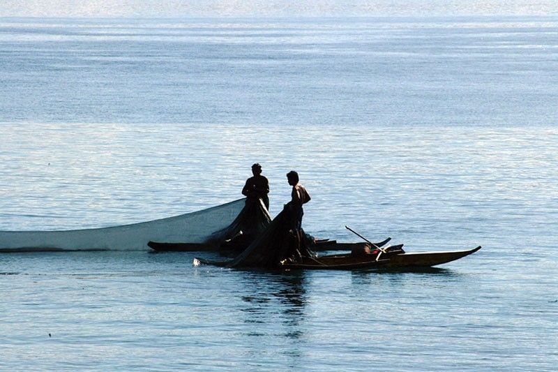 LGUs, Oceana beef up monitoring of municipal waters