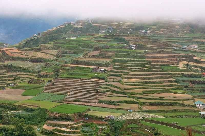 â��No Cordillera without Benguet's farming industryâ��