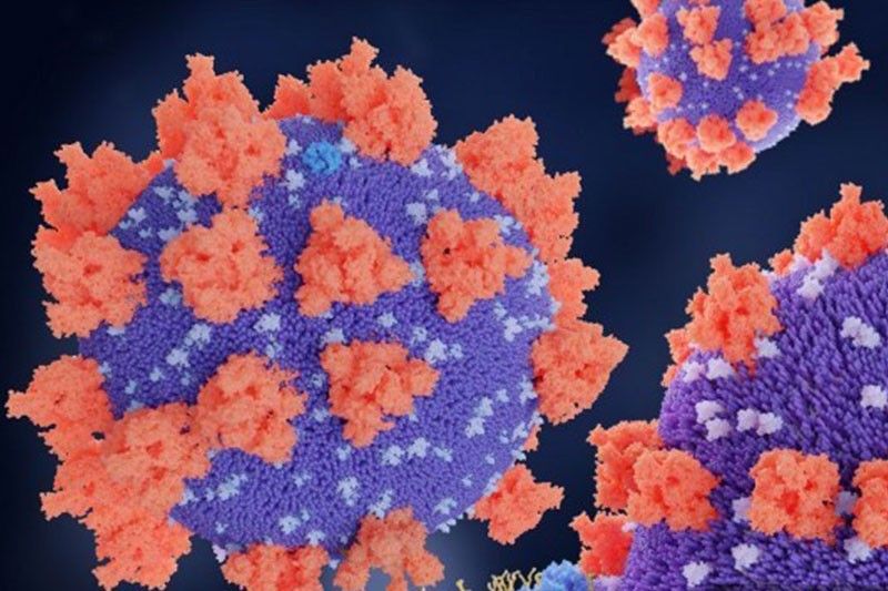 Coronavirus could become seasonal: top US scientist