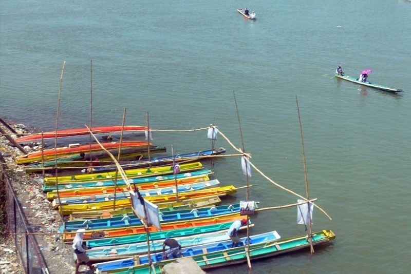 BFAR-7 to government execs: Help fishermen, vendors