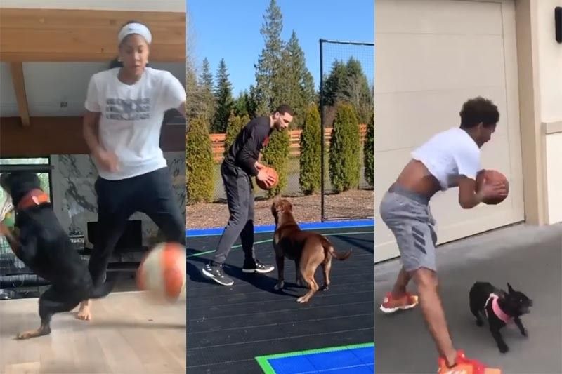 NBA, WNBA stars train with dogs during quarantine