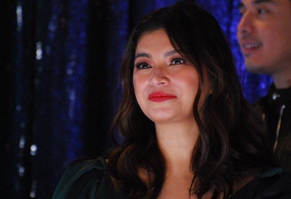 Angel Locsin raises almost P11M for COVID-19 frontliners' tents