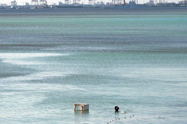 Not 'healing': Satellite photos suggest pollution turned Manila Bay turquoise