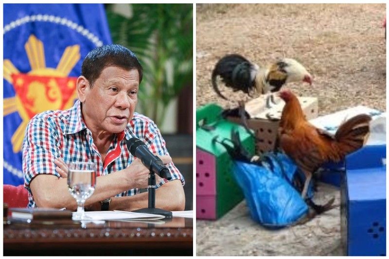 Duterte: Nasa sabungan, inuman walang matatanggap na ayuda habang ECQ