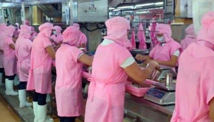CPFI ensures hygiene