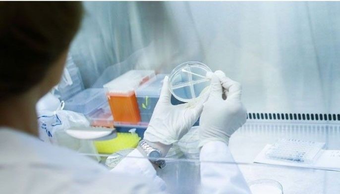 Israeli firm finds COVID-19 cure from placenta