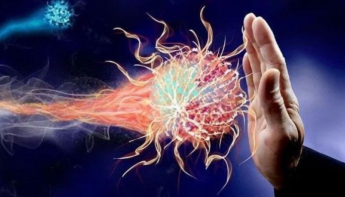 Nature&rsquo;s way vs&nbsp;infection: 5 health basics to fight COVID-19&nbsp;