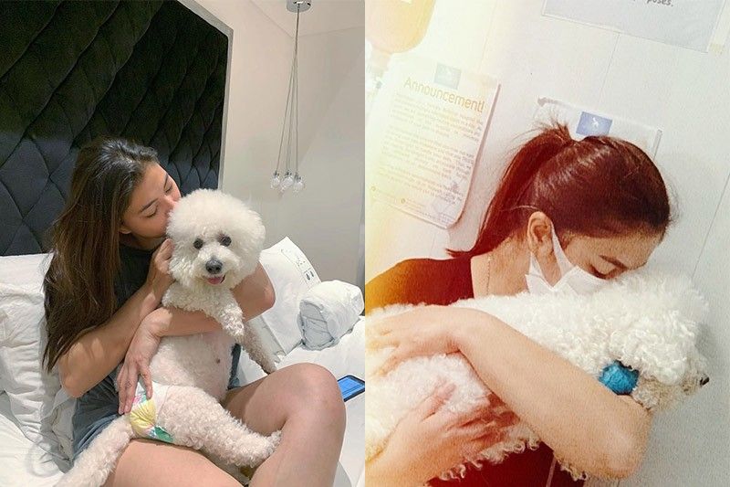 Angel Locsin bids emotional farewell for 'perfect little fighter'