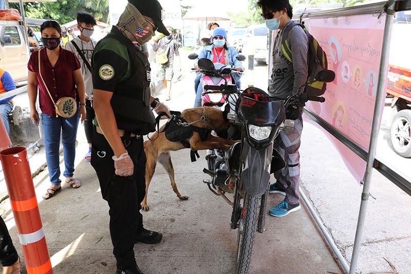 PDEA deploys drug-detection dogs in Mindanao quarantine checkpoints