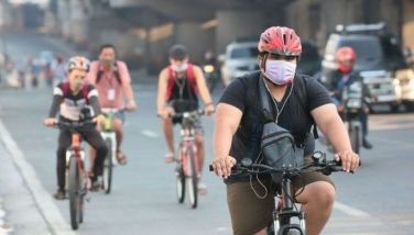 MMDA EDSA traffic chief Bong Nebrija clarified that while the agency supports initiatives to promote a cycling culture in Metro Manila during the &acirc;��new normal,&acirc;�� bicycle lanes should be elevated and protected from vehicles and not just delineated with traffic cones,  &acirc;��unlike the one we did on Sunday.&acirc;�� 