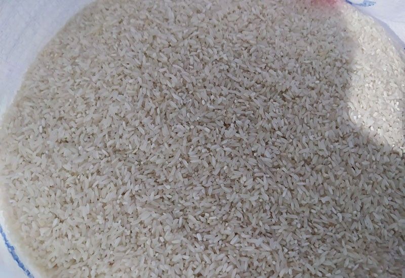 Rice stocks readied for lean months